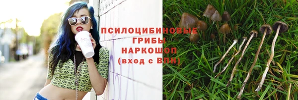 ECSTASY Гусиноозёрск
