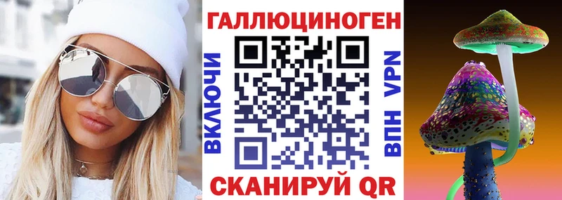 Купить где  Обоянь  Галлюциногенные грибы Psilocybine cubensis 