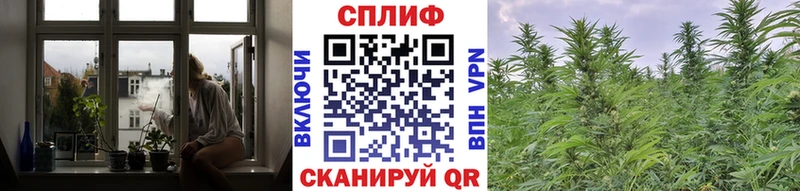 Купить Обоянь Бошки марихуана план
